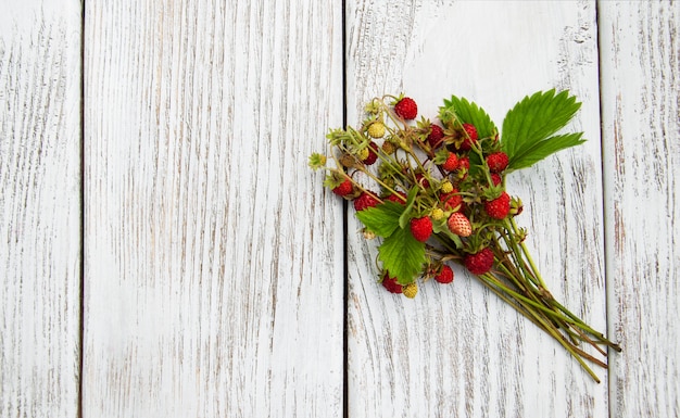 Bouquet de fraises des bois