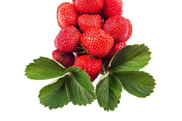 Bouquet de fraises avec des feuilles isolé sur fond blanc