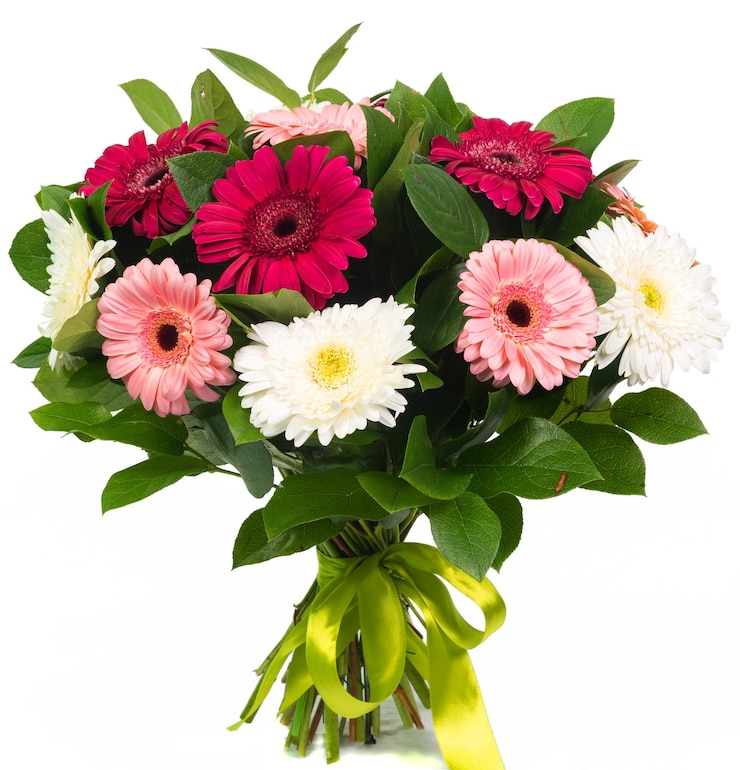 Photo bouquet de gerberas