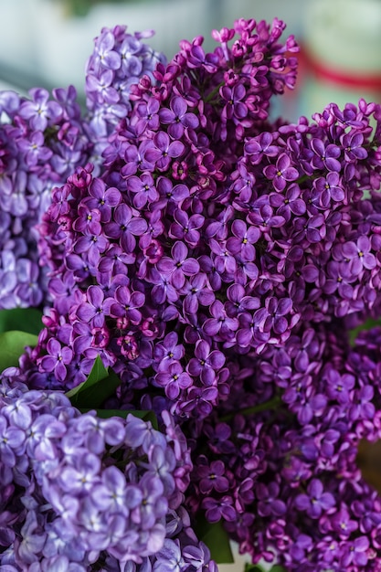 Un bouquet de gros plan lilas