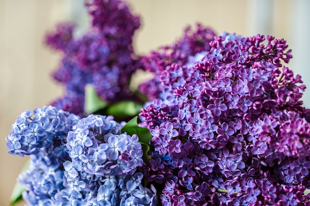 Un bouquet de gros plan lilas