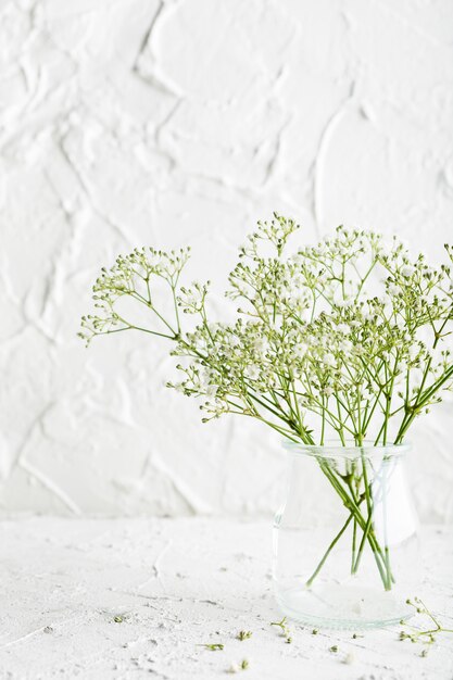 Bouquet De Gypsophile