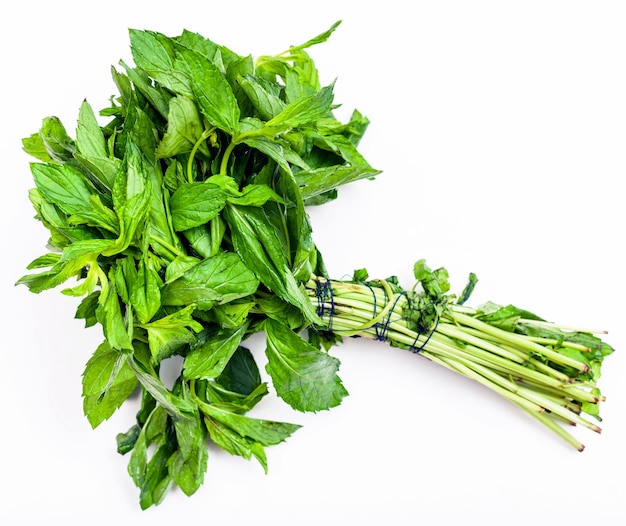 Bouquet d'herbe de menthe verte fraîchement coupée sur blanc