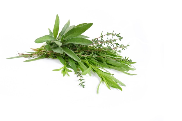 Photo bouquet d'herbes aromatiques épicées. sauge, thym, estragon sur fond blanc.