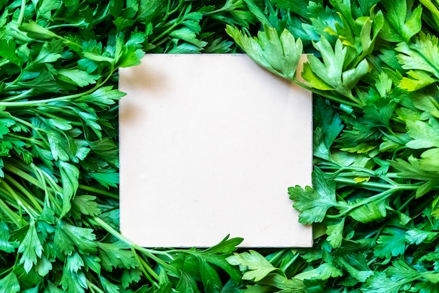 Bouquet D'herbes De Persil Vert Cru Frais Avec Cadre Carré Blanc Sur Le Dessus De L'espace De Copie Créatif F