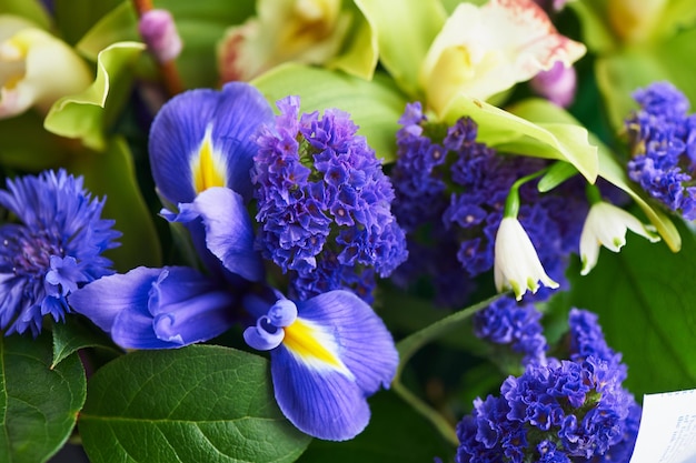 Bouquet d'iris bleus avec Salal et saule peint Fermer