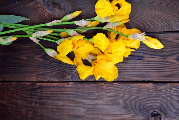 Bouquet d&#39;iris à fleurs jaunes