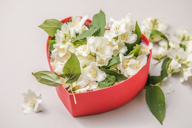 bouquet de jasmin dans une boîte cadeau fleurs saint valentin félicitation cadre décoratif