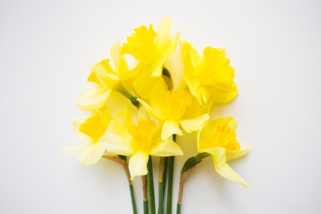 Bouquet jaune de jonquilles allongé sur une table blanche