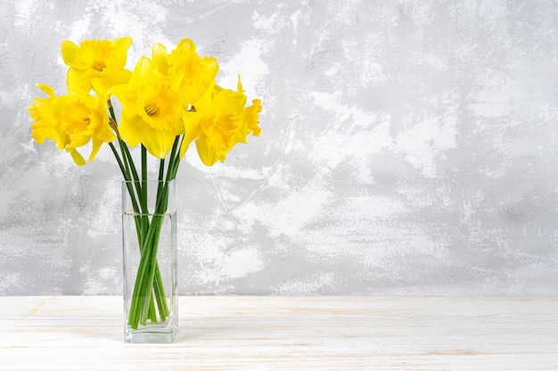 Bouquet de jonquilles jaunes fleurs cloches de Pâques dans un vase sur fond de plâtre blanc