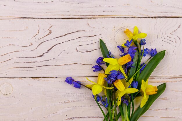 Bouquet de jonquilles jaunes et de fleurs de scilla bleues sur fond en bois blanc Carte de voeux pour Pâques Saint Valentin Fête des femmes et fête des mères Vue de dessus espace de copie