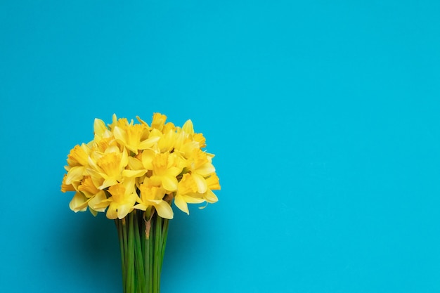Bouquet de jonquilles jaunes fraîches sur fond bleu avec un espace pour le texte