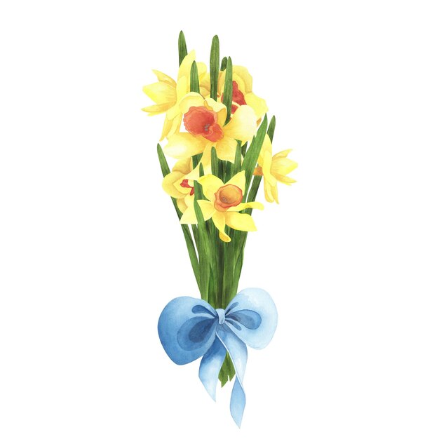 Bouquet de jonquilles avec noeud bleu sur fond blanc Illustration de dessin à la main aquarelle Art pour la journée de la femme