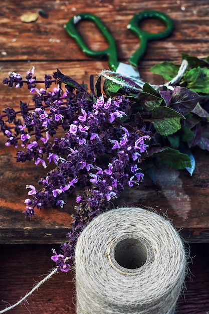 Bouquet de lavande parfumée fraîche