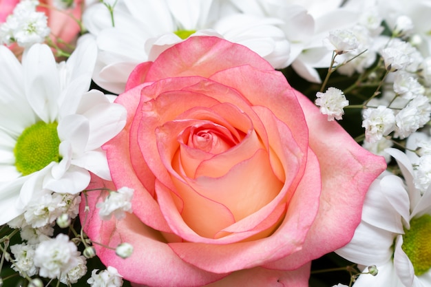 Bouquet de lave corail rose.