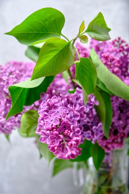 Bouquet lilas au feuillage vert en pichet sur fond clair