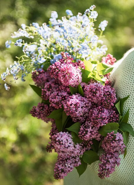 Bouquet de lilas dans les mains de la femme