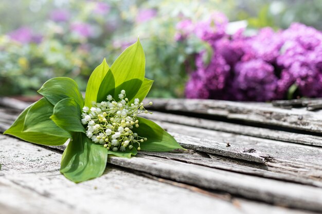 Bouquet de lilas sur un fond en bois. copie espace