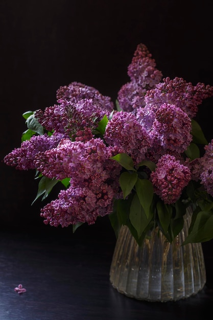 Bouquet de lilas sur fond sombre