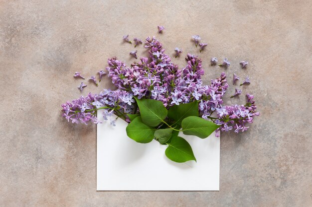 Un bouquet de lilas parfumés frais dans une enveloppe en papier