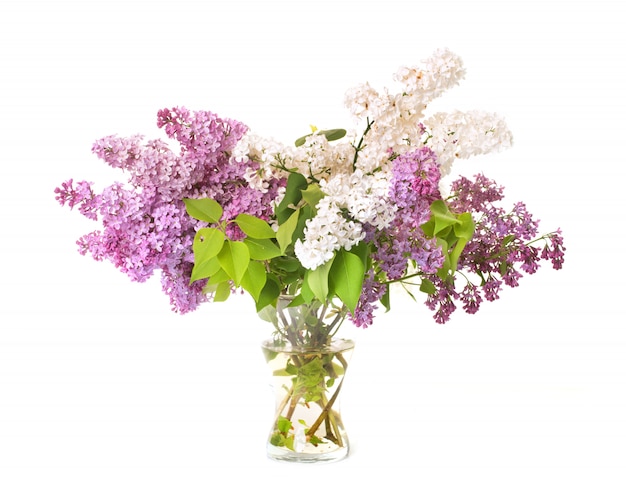 bouquet de lilas