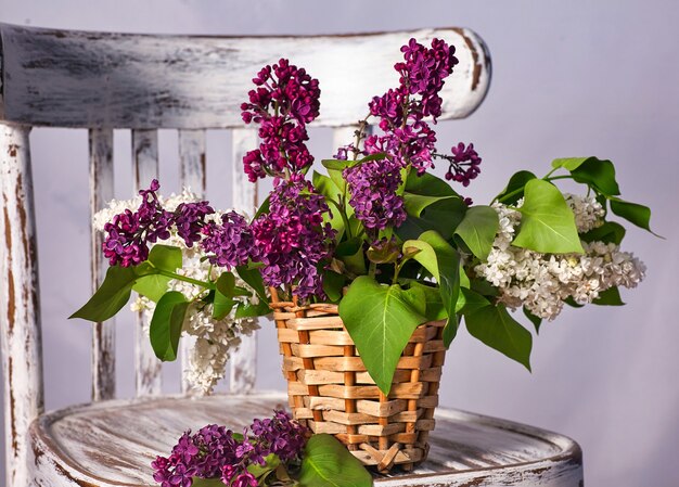 Bouquet de Lillac dans un vase sur une chaise en bois Vintage