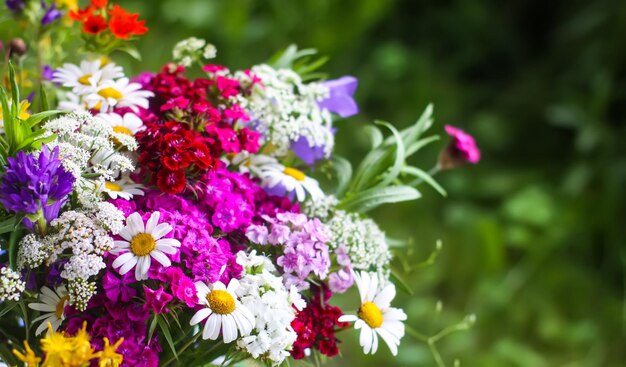 Bouquet lumineux de belles fleurs de jardin et de fleurs sauvages.