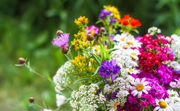 Photo bouquet lumineux de belles fleurs de jardin et de fleurs sauvages.