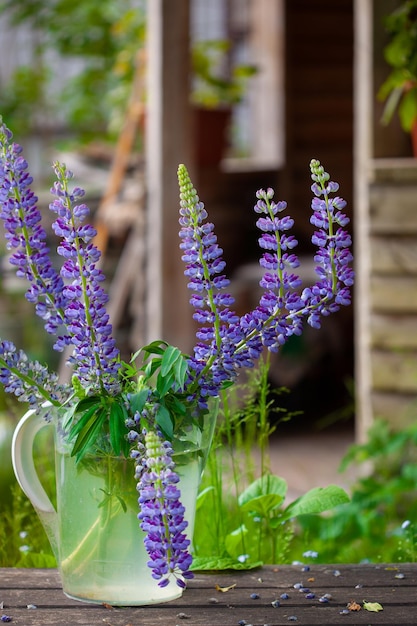 Bouquet de lupin violet dans un bocal en verre sur la table dans le jardin fond naturel vert ensoleillé Saison de printemps ou d'été Belle composition avec des fleurs