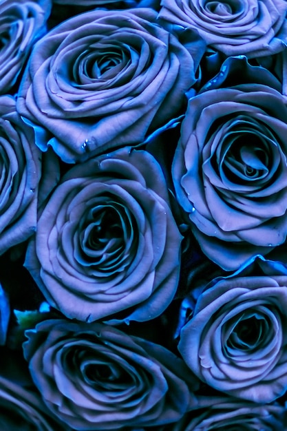 Bouquet de luxe glamour de fleurs de roses bleues en fleurs comme arrière-plan floral de vacances