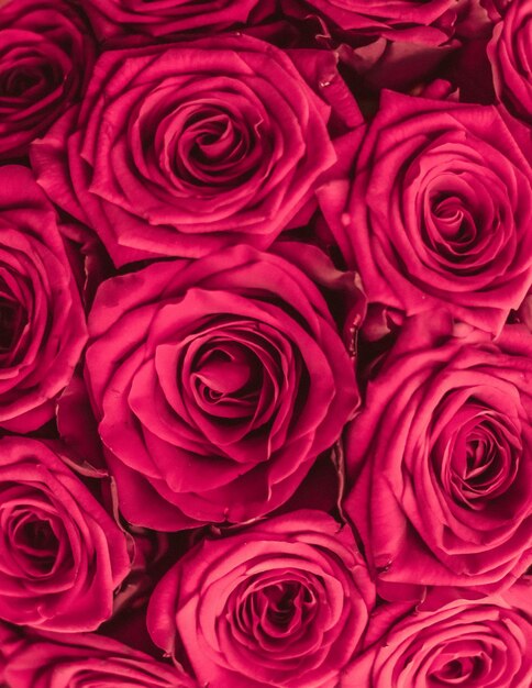 Bouquet de luxe romantique de fleurs de roses roses en fleurs comme arrière-plan floral de vacances