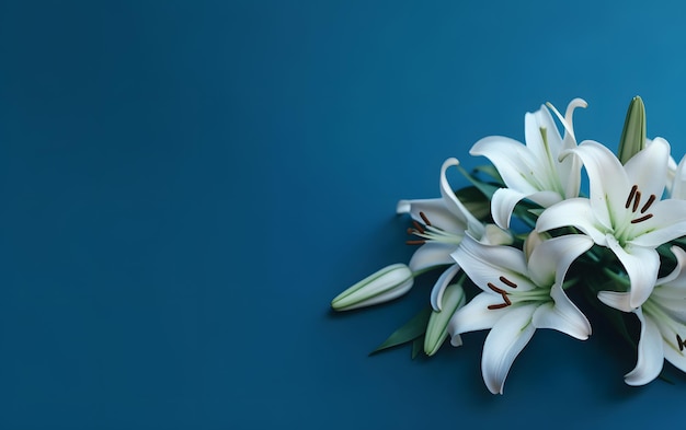 Un bouquet de lys blancs sur fond bleu