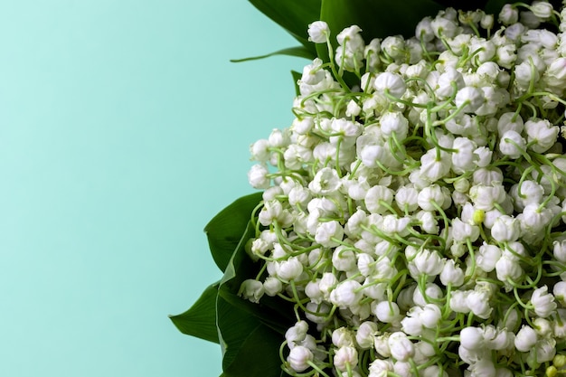 Bouquet de lys blancs de la vallée en feuilles vertes sur fond de menthe avec espace copie. Mise au point sélective. Vue rapprochée