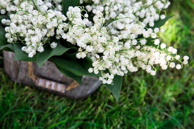 Bouquet de Lys de la vallée dans un panier. fond floral avec des endroits pour votre texte