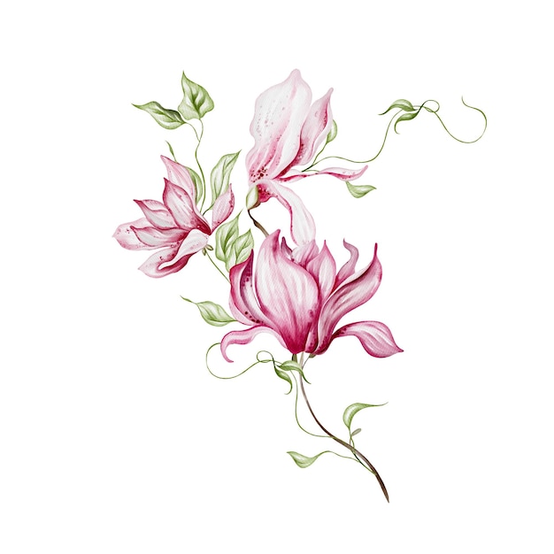 Photo bouquet de magnolia de mariage à l'aquarelle illustration