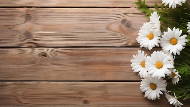 Bouquet de marguerites avec carnet ouvert