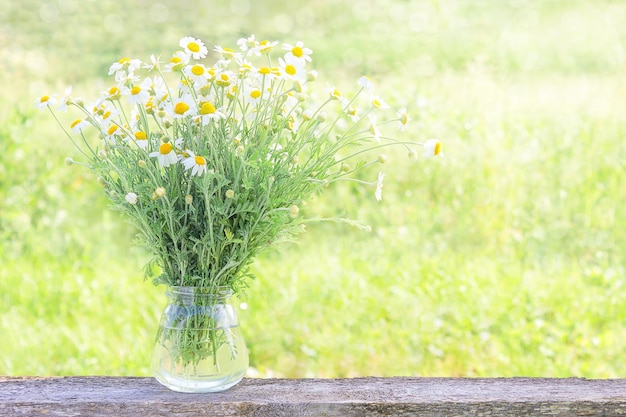 bouquet de marguerites dans un bocal en verre nature background with copy space