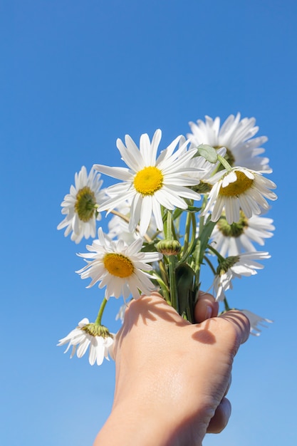 Bouquet de marguerites dans une main contre un ciel bleu.