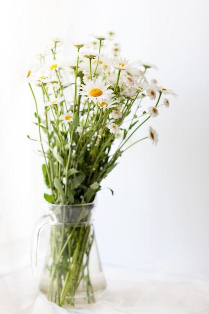 Bouquet de marguerites dans un vase transparent sur mur blanc