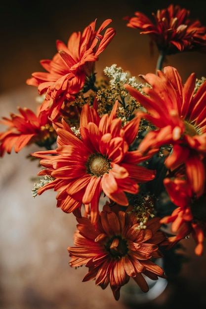 Bouquet de marguerites Gerbera dans un vase