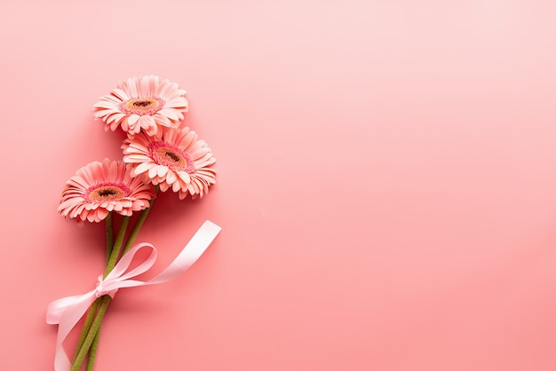 Bouquet de marguerites gerbera roses avec ruban. Mise à plat de conception minimale. Couleurs pastel