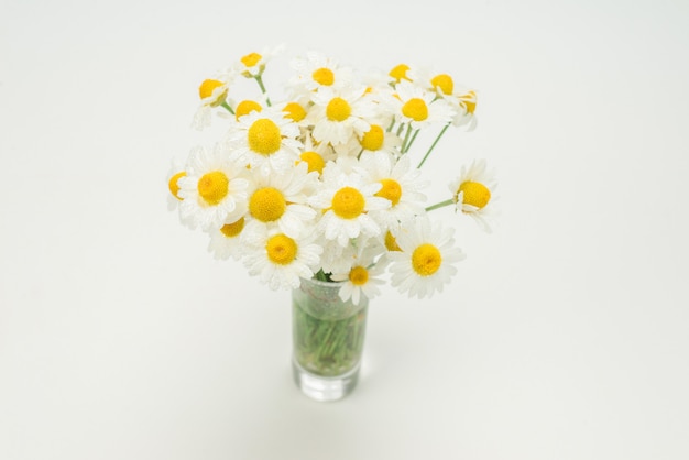 Photo bouquet de marguerites isolé dans un vase