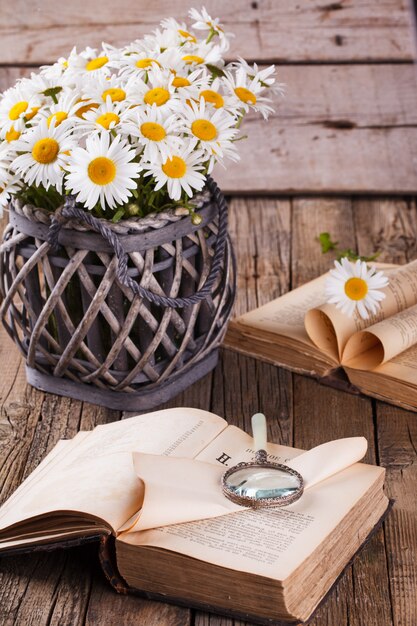 Bouquet de marguerites avec un livre et une loupe.