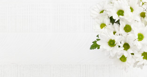 Bouquet de marguerites