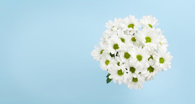 Bouquet de marguerites