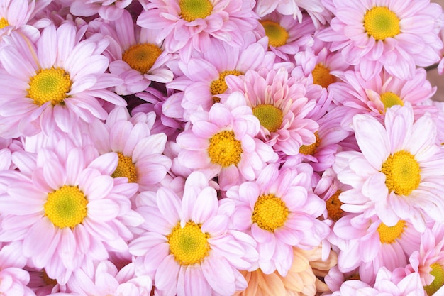 Bouquet de mariée avec des fleurs roses fraîches