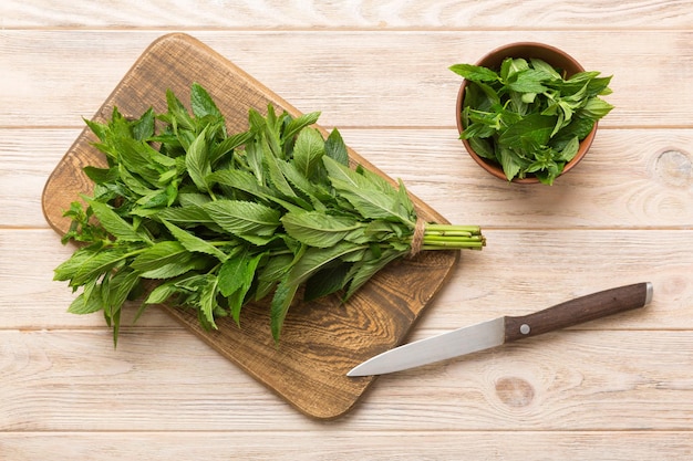 Bouquet de menthe fraîche sur les planches à découper fond coloré vue de dessus