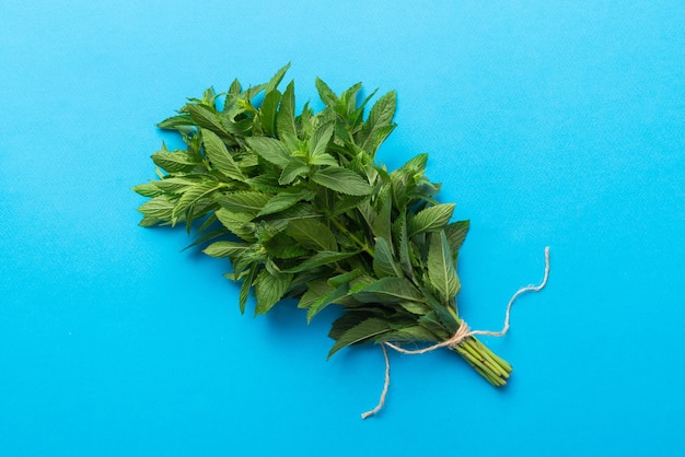 Bouquet de menthe fraîche sur table colorée Vue de dessus avec espace de copie