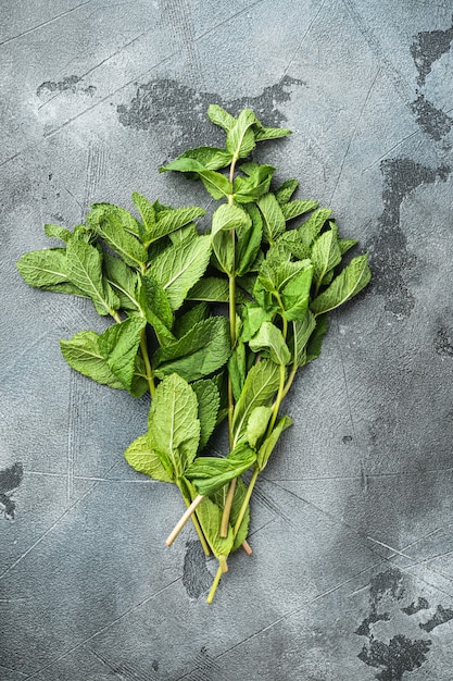 Un bouquet de menthe, menthe verte ou menthe poivrée, sur pierre grise