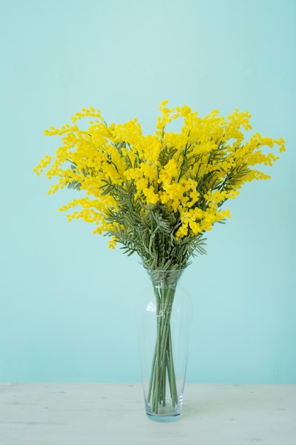 Un bouquet de mimosa dans un grand vase en verre sur une table sur fond de mur bleu.